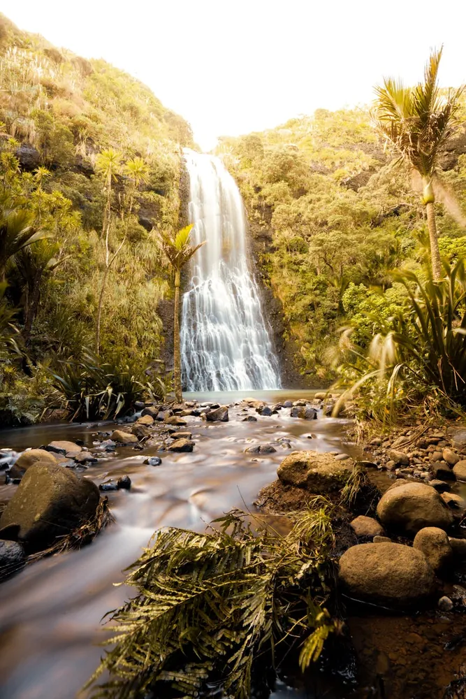 Five Breathtaking Hikes on New Zealand’s North Island You Haven’t Tried